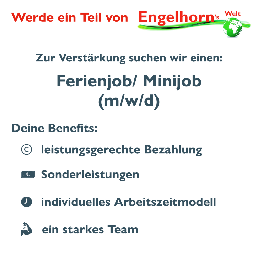 Stellenanzeige   Ferienjob 1