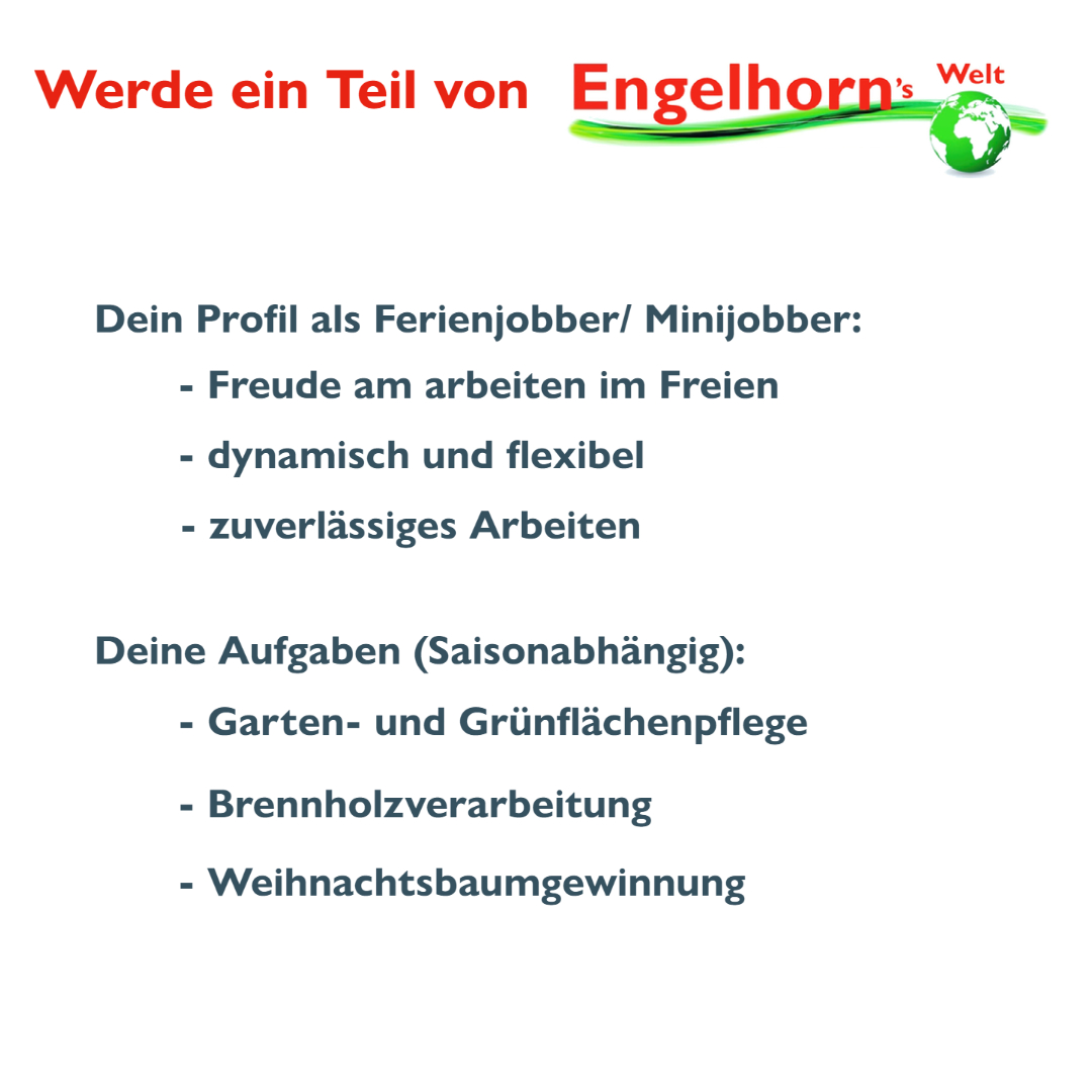 Stellenanzeige   Ferienjob 2