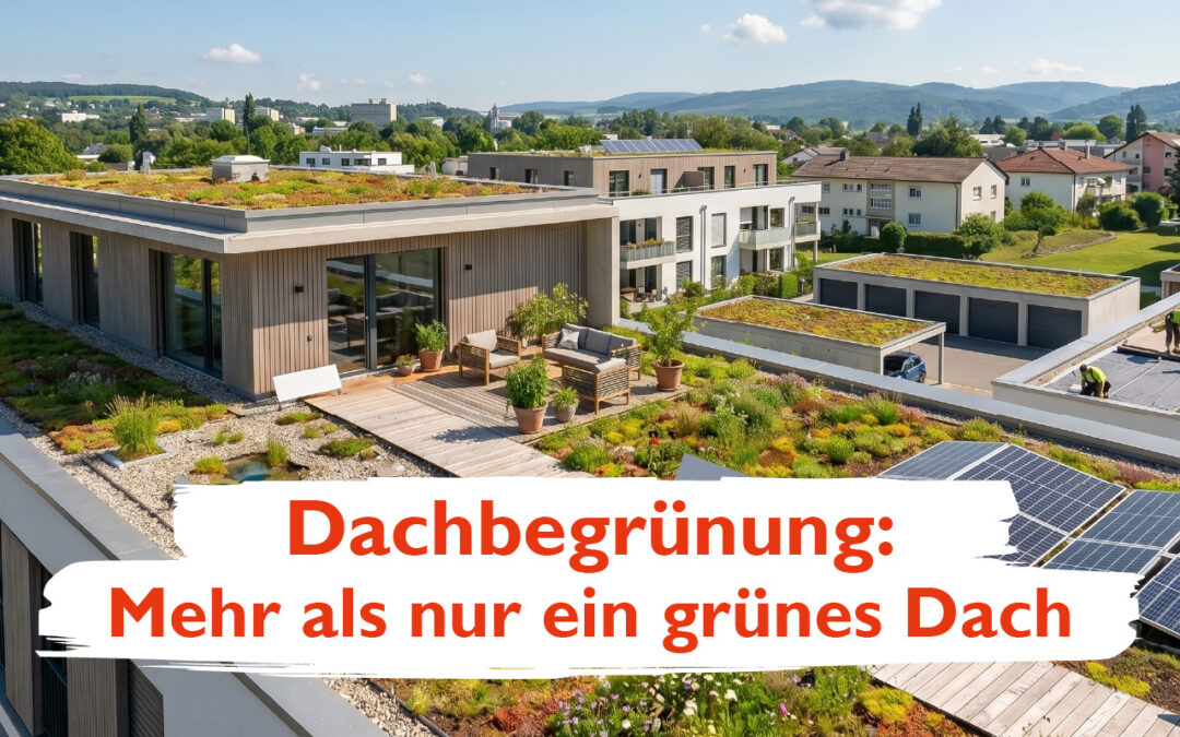 Dachbegrünung: Mehr als nur ein grünes Dach